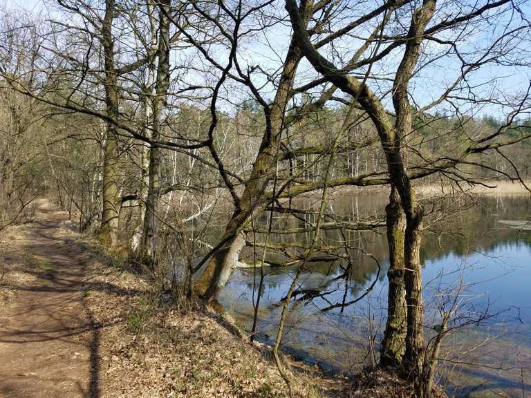 Durchs Naturschutzgebiet Heidhofer Teiche Radtouren und Radwege komoot