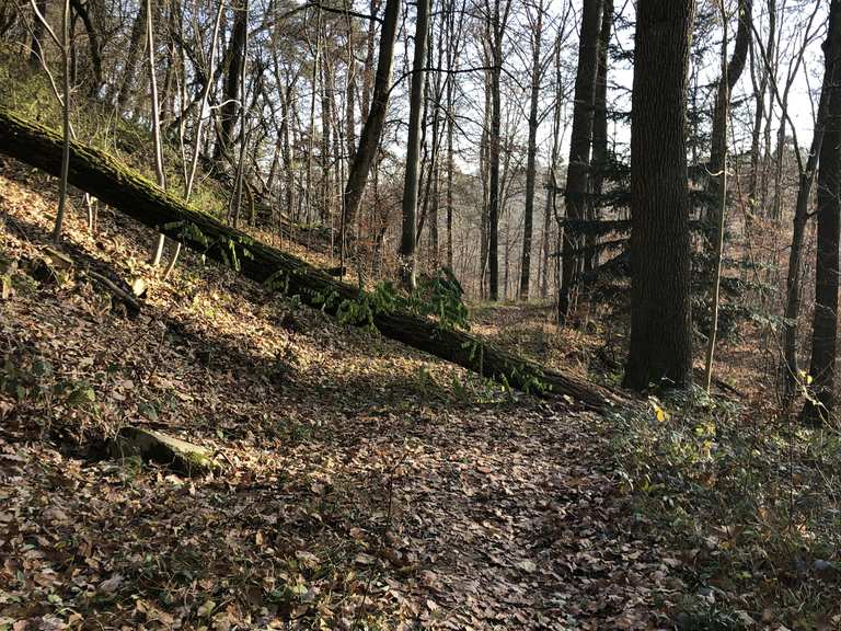 stuttgart singletrail