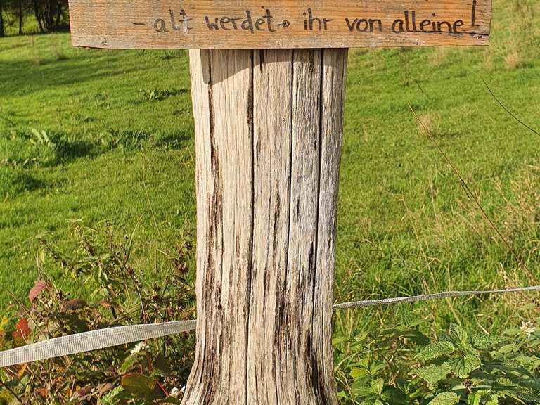 SchöneSprücheWeg Mörlenbach, Bergstraße Wanderweg Komoot