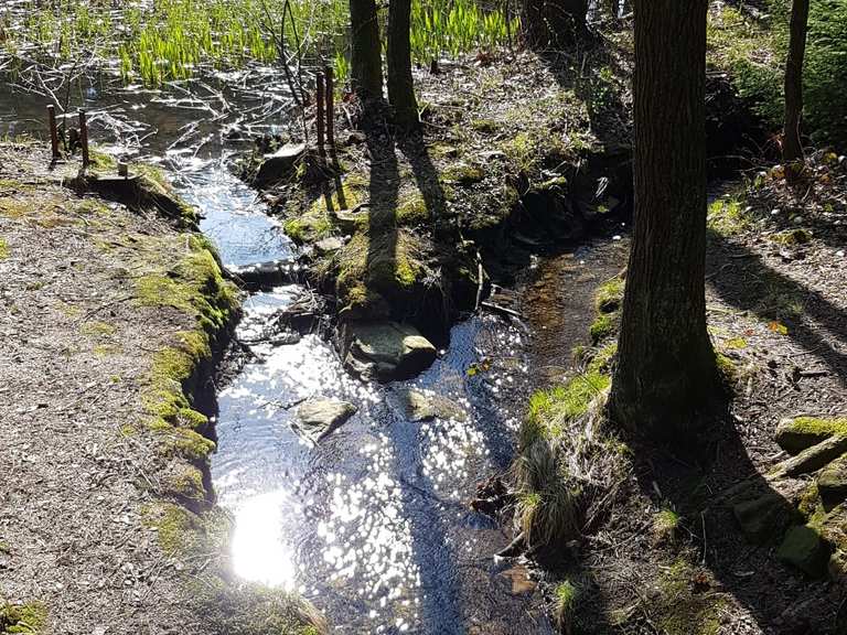 Schwarzer Teich Schwedenstein Aussichtsturm Itinerario ad anello da