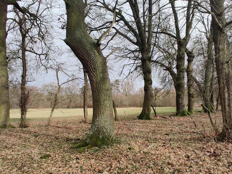 Wüstung Möbis Wanderungen und Rundwege komoot