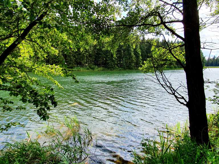 Kuttelbacher Teich Routes for Walking and Hiking Komoot