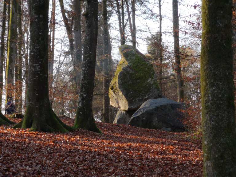 Erdmannlistein-Trail Mountain Bike Trails & Tracks | Komoot