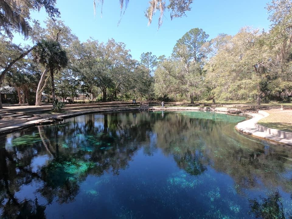 Crystal clear blue spring water surrounded by lush green trees on a sunny day.