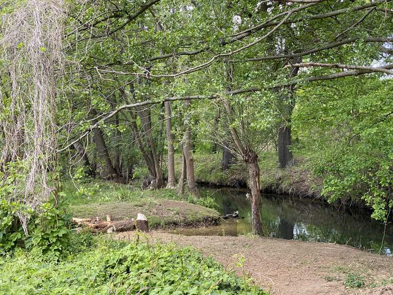 52+ Großer Teich Torgau Wandern, Entdeck die besten wanderungen und