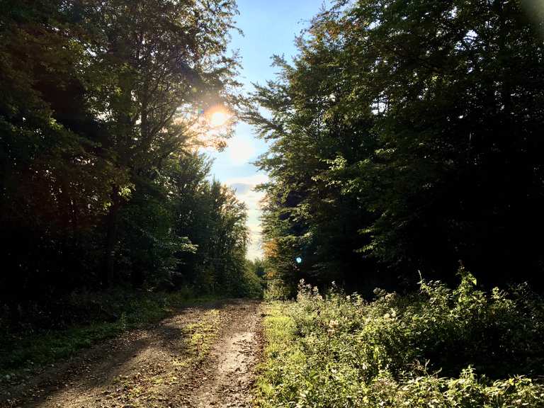 Rund um den Tiergarten - Purkersdorf, Vienna Surroundings | Running ...