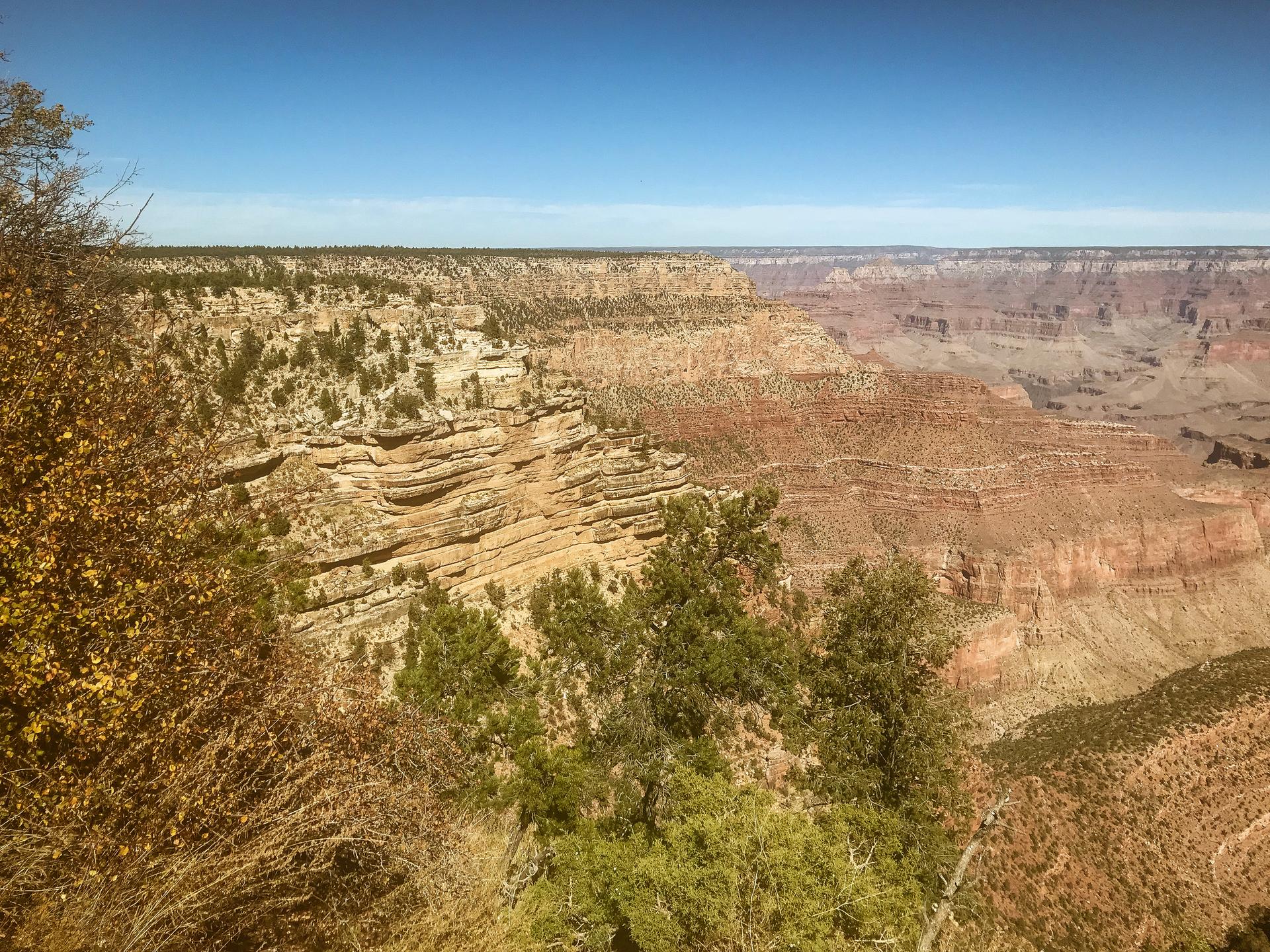 Vast canyon with layered rock formations, green trees, under a clear blue sky.