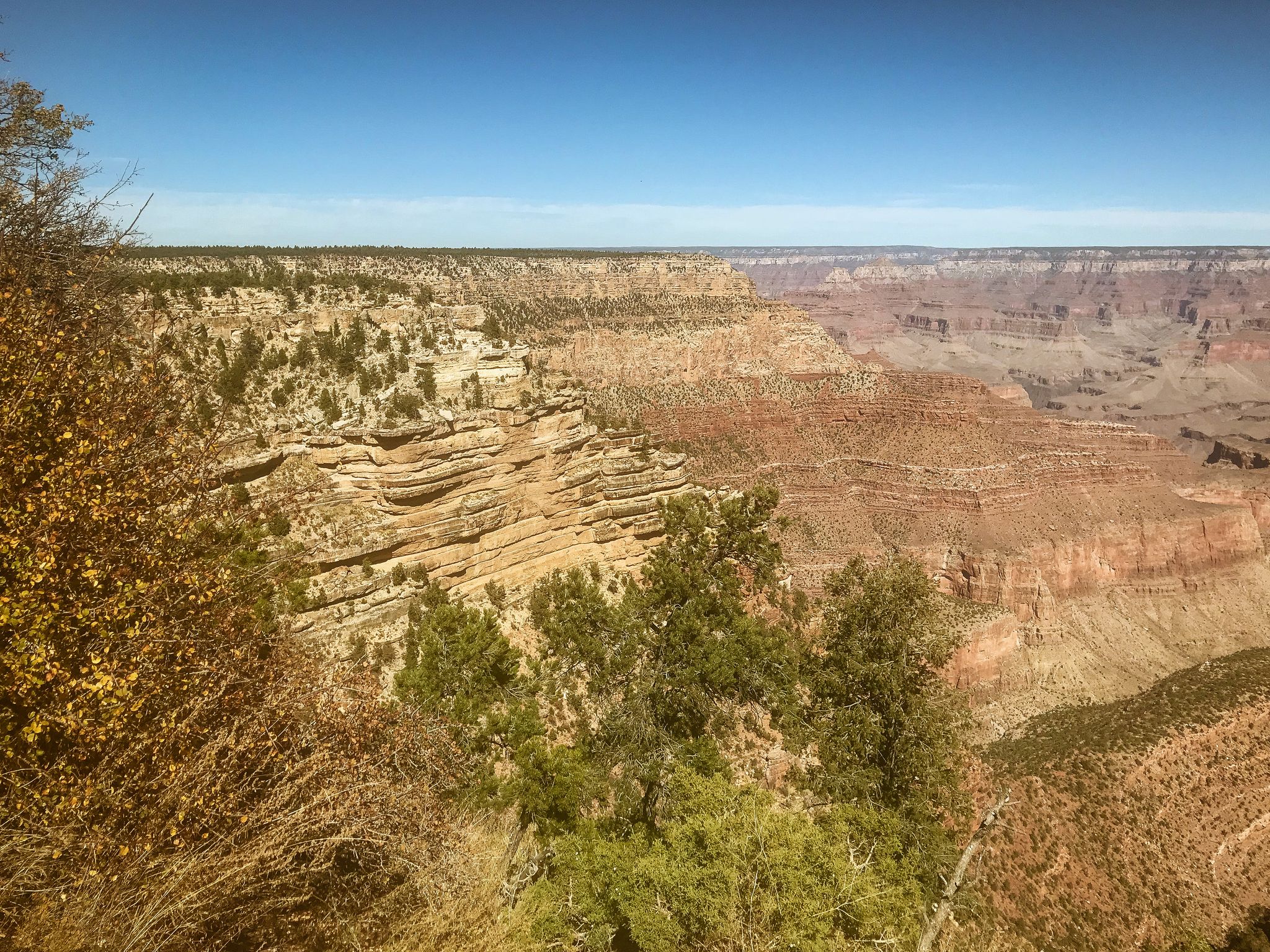 Vast canyon with layered rock formations, green trees, under a clear blue sky. - Grand Canyon Greenway Trail
