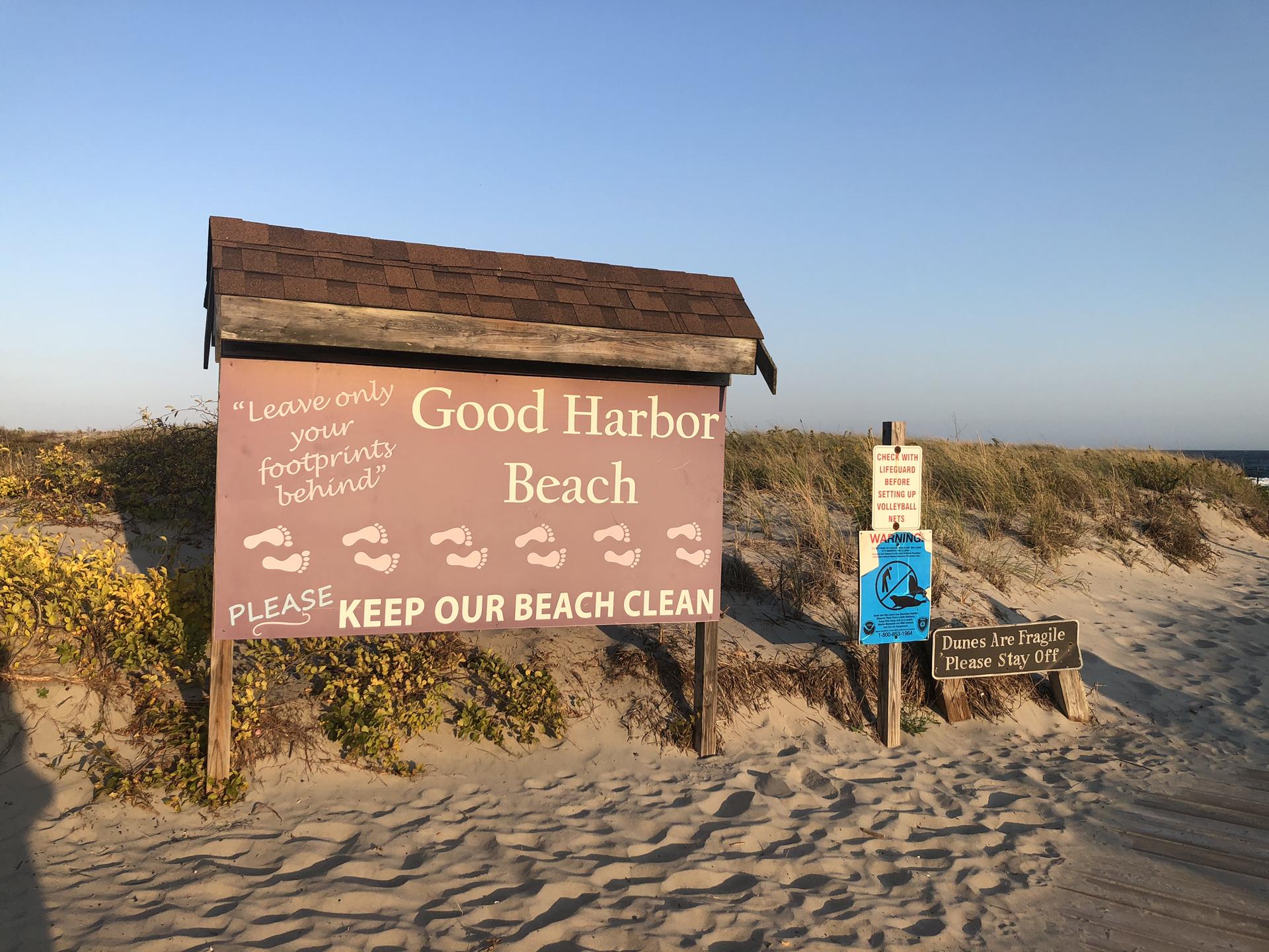 Wooden signs on a sandy beach with dunes and ocean under a clear sky.