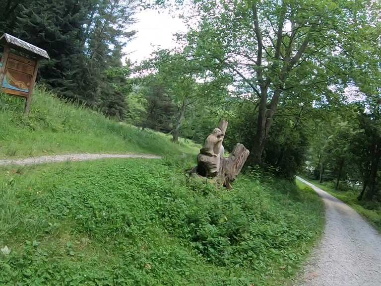 Die 20 schönsten Mountainbike-Touren rund um Passau | Komoot
