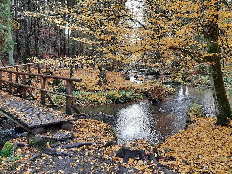 Höllbachtal Wanderungen und Rundwege komoot