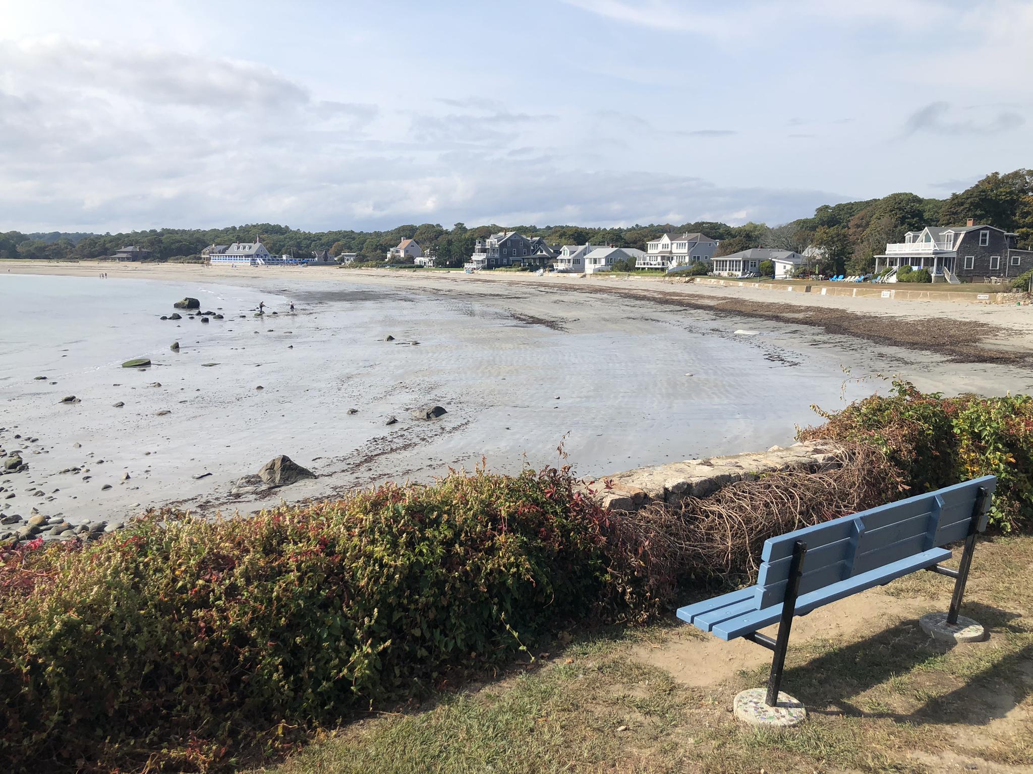 Overcast view of a sandy beach at low tide with distant houses.