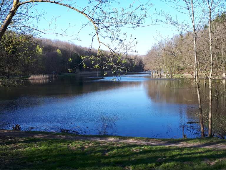 Burbacher Waldweiher Schöne Strecke an der Saar Runde von Saarbrücken