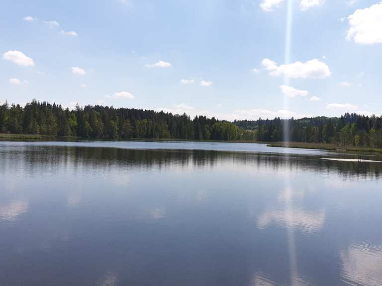 Der Notzenweiher MountainbikeTouren und Trails komoot