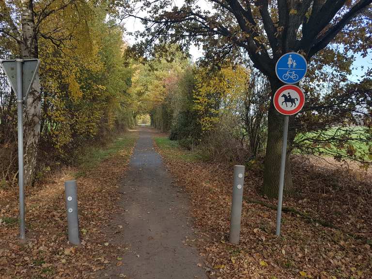 Fantastischer Bahnradweg Lütjensee, SchleswigHolstein