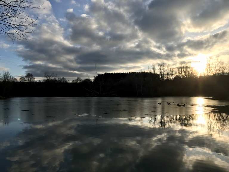 Vogel- und Wildgehege am Gaugersee, Trossingen - Cycle Routes and Map ...