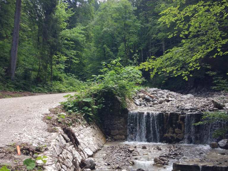 Hirschbachtal MountainbikeTouren komoot