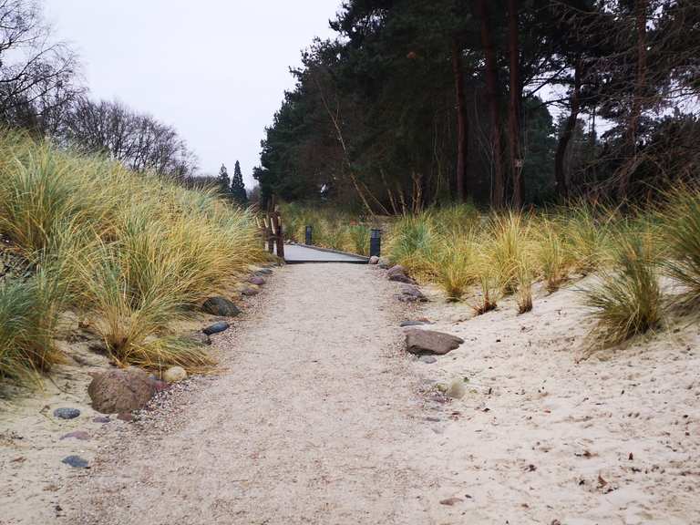 Botanischer Garten Rombergpark Moor und Dünenlandschaft Runde von