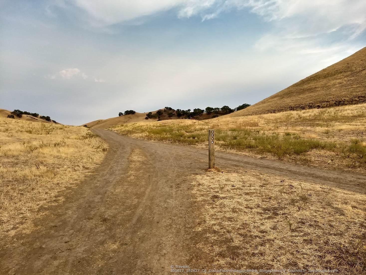 Dirt path forks in dry grassy hills under a cloudy sky.