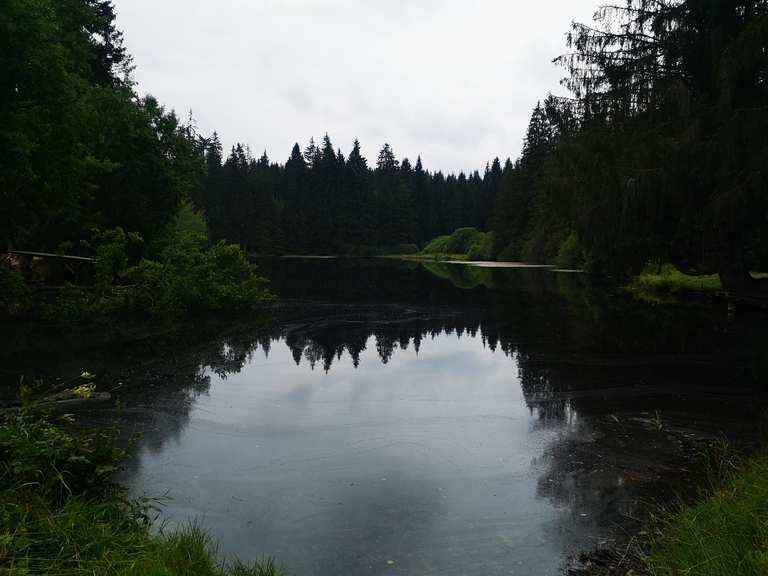 Ochsenbacher Teich Routes for Walking and Hiking Komoot