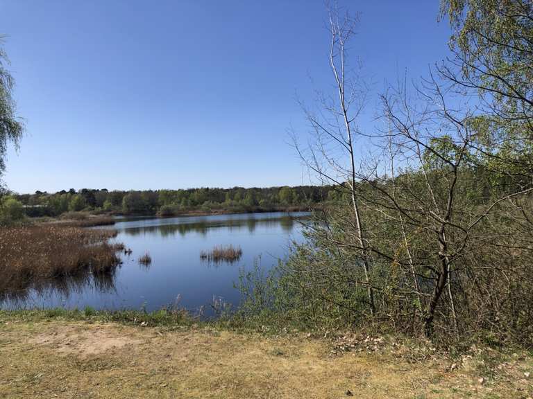 See am Goldberg MountainbikeTouren und Trails komoot