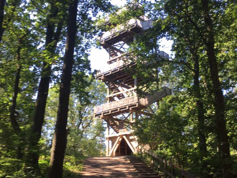 Aussichtsturm am Mordkuhlenberg - Mountain Bike Trails & Tracks | Komoot