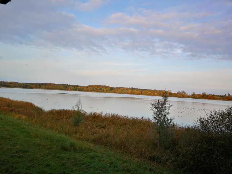 Aussichtsturm am Nonnensee Wanderungen und Rundwege komoot