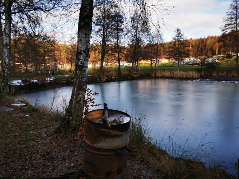 Schönsee Routes for Walking and Hiking | Komoot