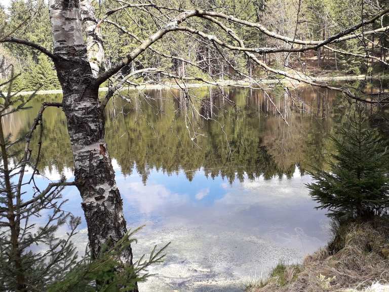 Ullersdorfer Teich Wanderungen und Rundwege komoot