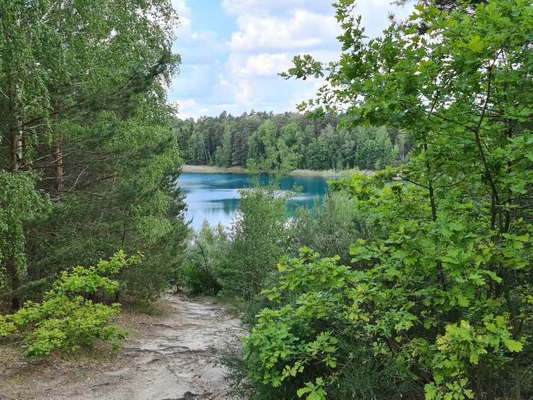 Aussichtsturm Felixsee : Radtouren und Radwege | komoot