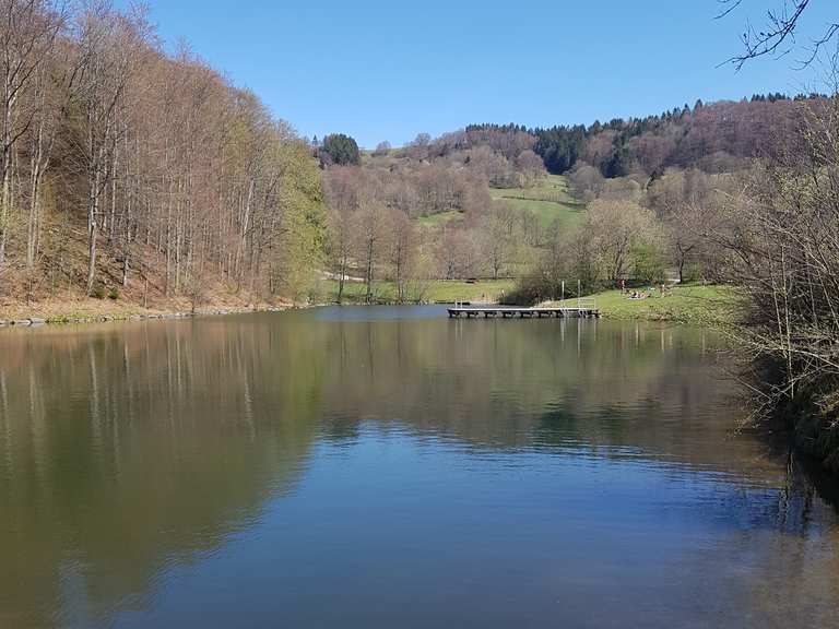Guckaisee Wanderungen und Rundwege komoot