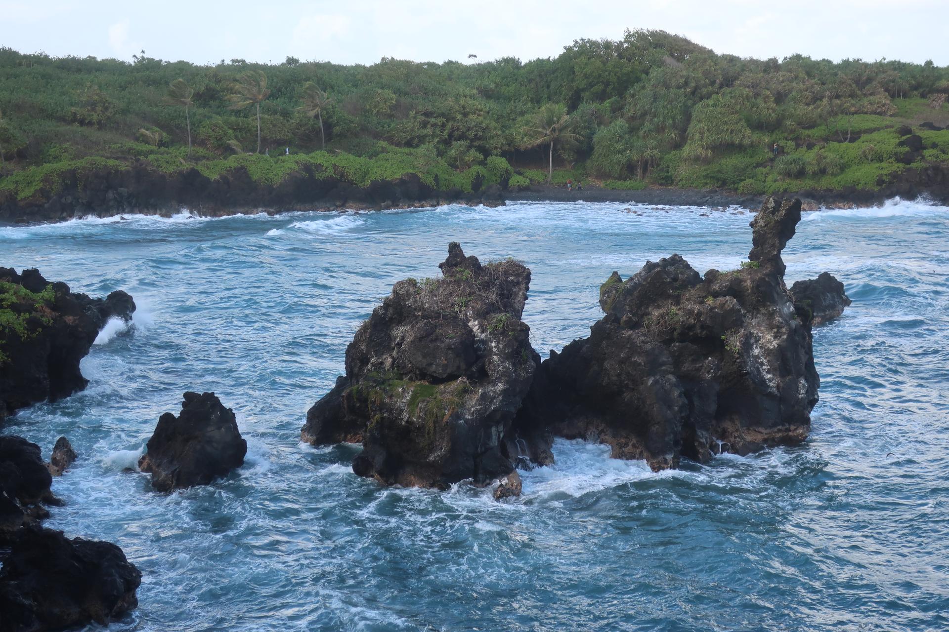 Dark volcanic rock formations in choppy blue ocean with green coastline.