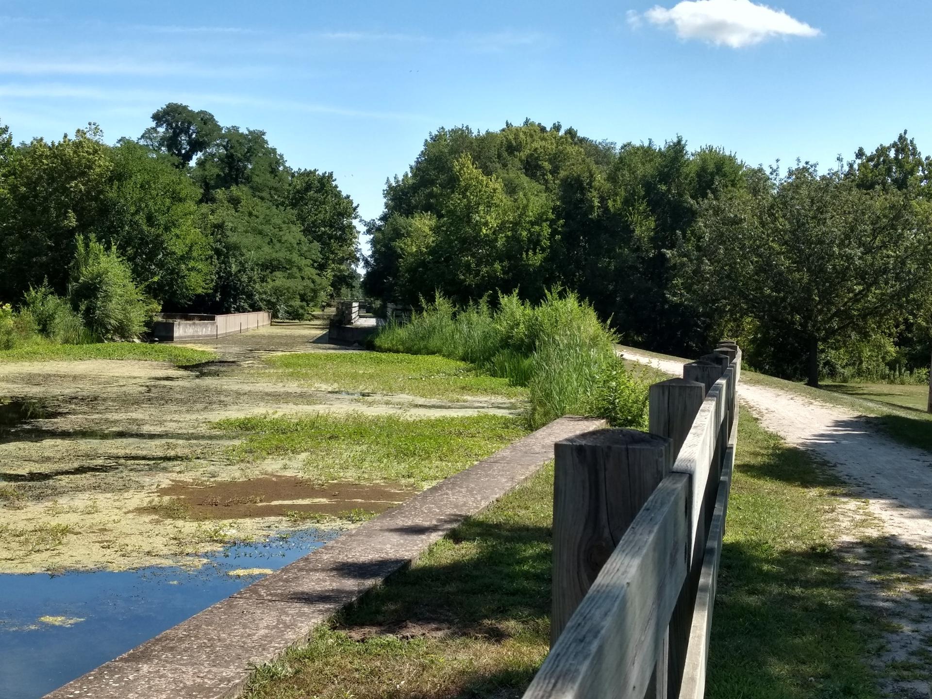 Canal with green algae, a wooden fence, and a dirt path under blue sky.