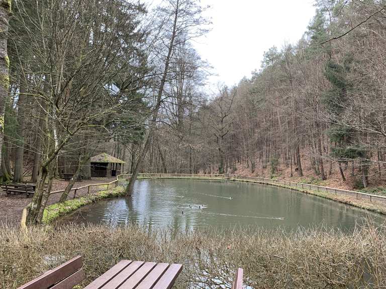 Rastplatz am Dreiseental Wanderungen und Rundwege komoot