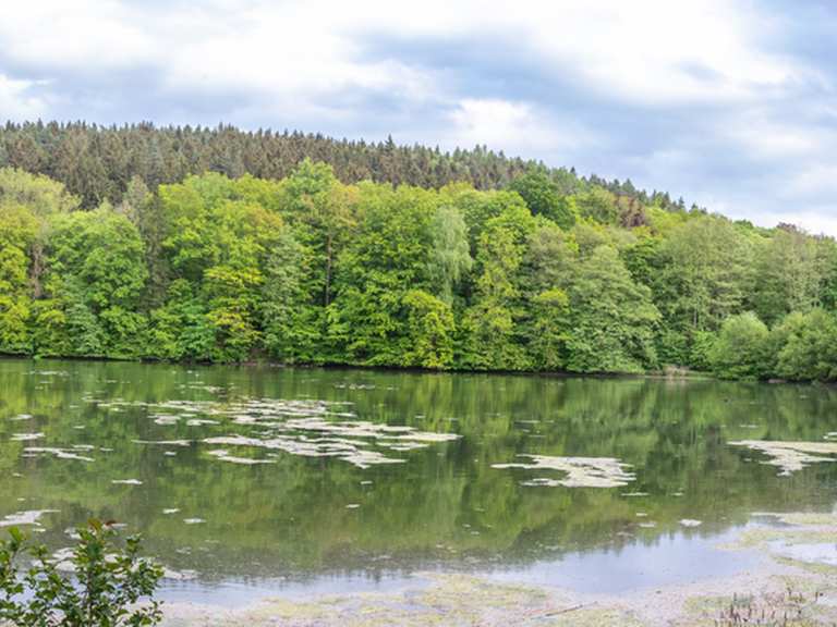 Reinhardsbrunner Teiche Mountain Bike Trails & Tracks Komoot