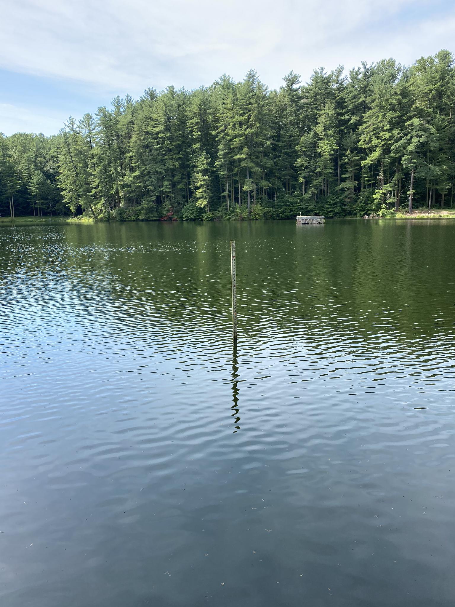 Calm lake with a pole in the water, backed by a dense green forest.