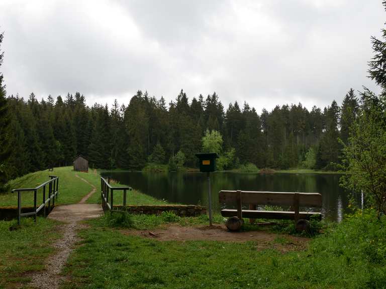 Oberer Hahnebalzer Teich (HWN 141) Wanderungen und Rundwege komoot