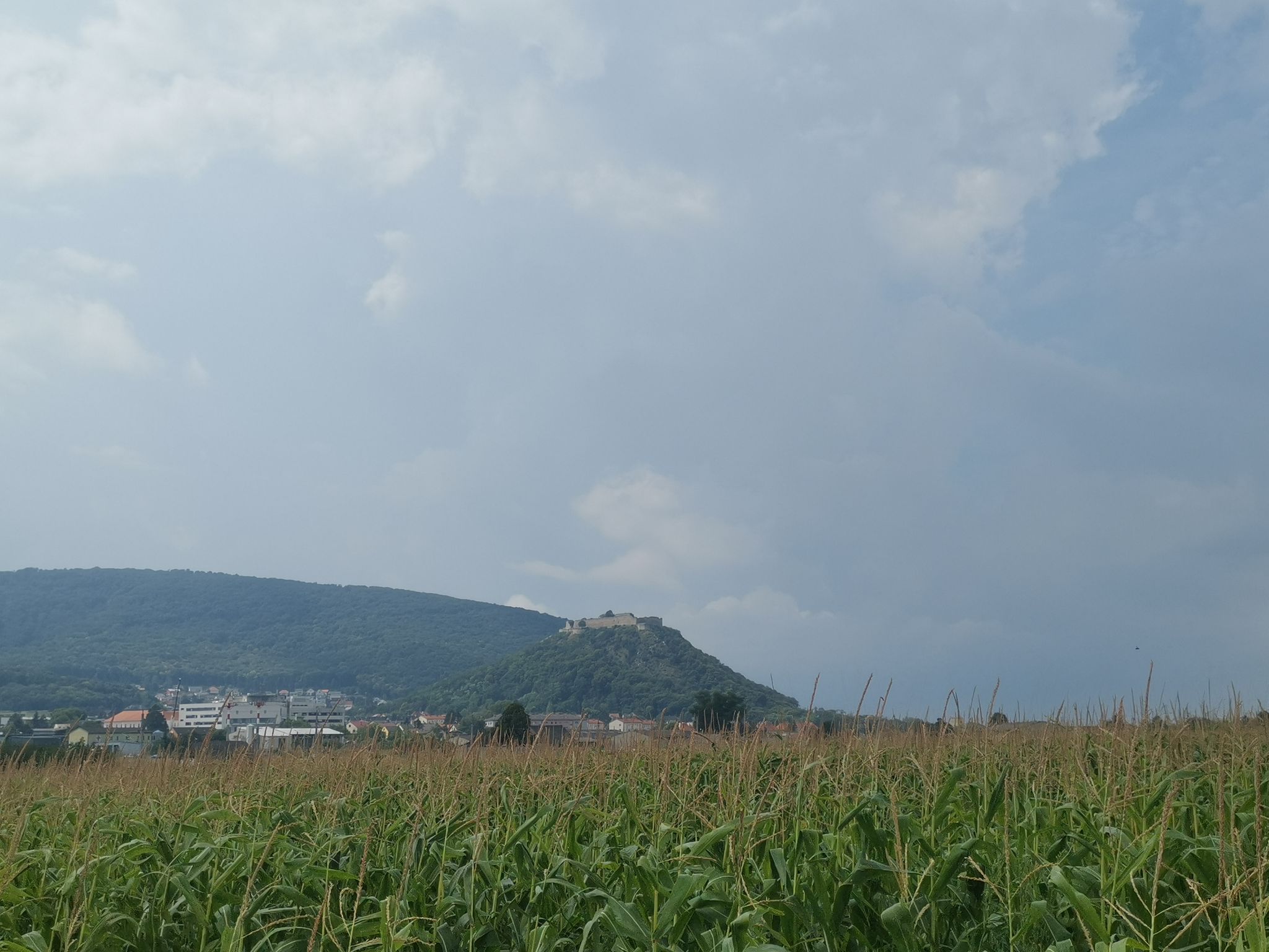 Feldweg bei Wolfsthal – Blick auf die Burg Hainburg Runde von Tôňava ...