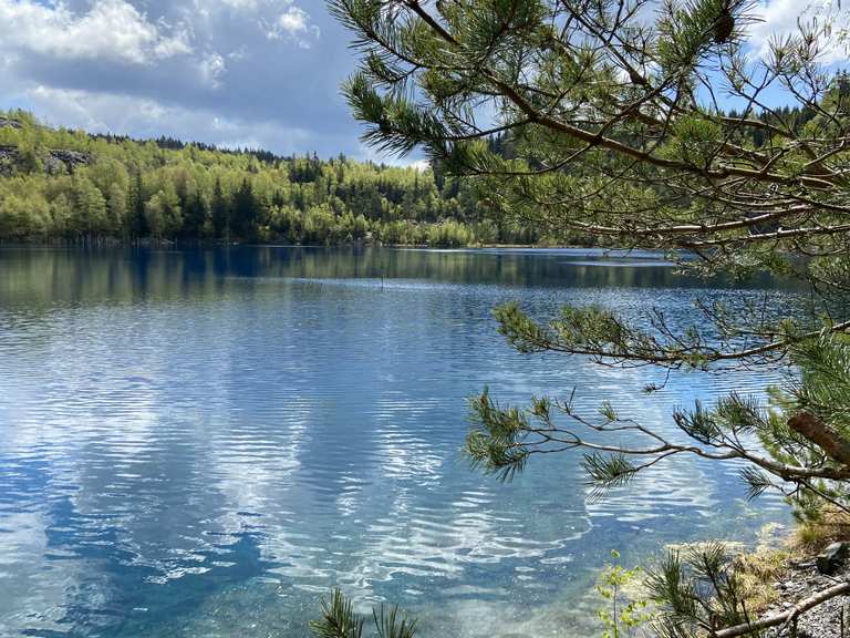 Schöner See mit klarem Wasser - Thüringen, Deutschland | Wandertipps