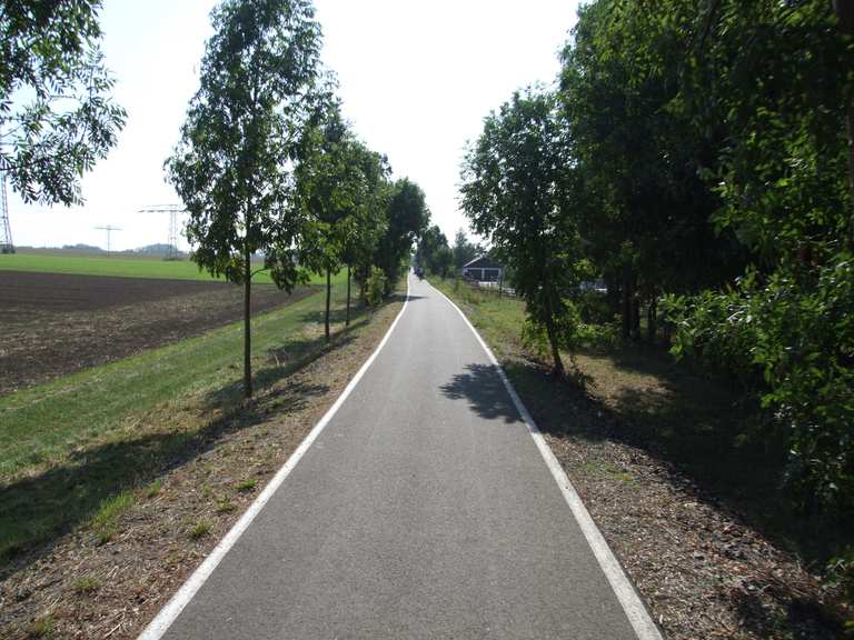 ehem. Bahntrasse Groitzsch Zwenkau / Radweg Zwenkau