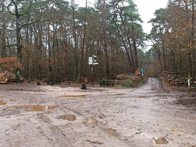 Am Schlagbaum (288 m ü. NHN) Wanderungen und Rundwege komoot
