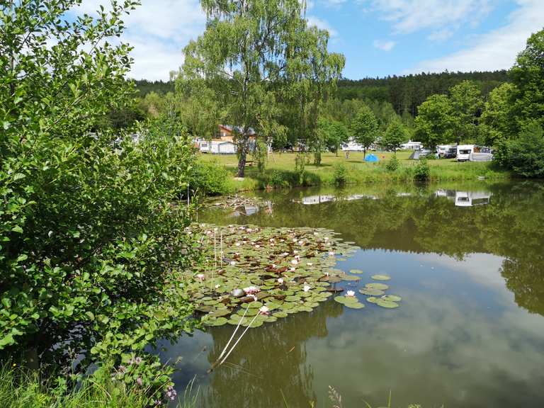 Schönsee Routes for Walking and Hiking | Komoot