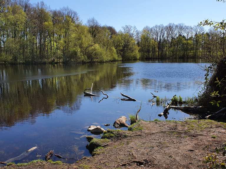 Bredenbeker Teich Wanderungen und Rundwege komoot