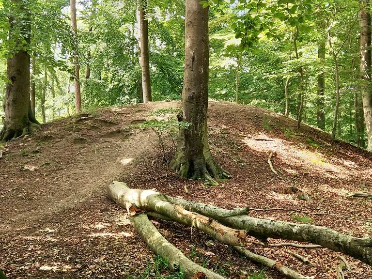Hügelgräber Quellholz Routes for Walking and Hiking Komoot