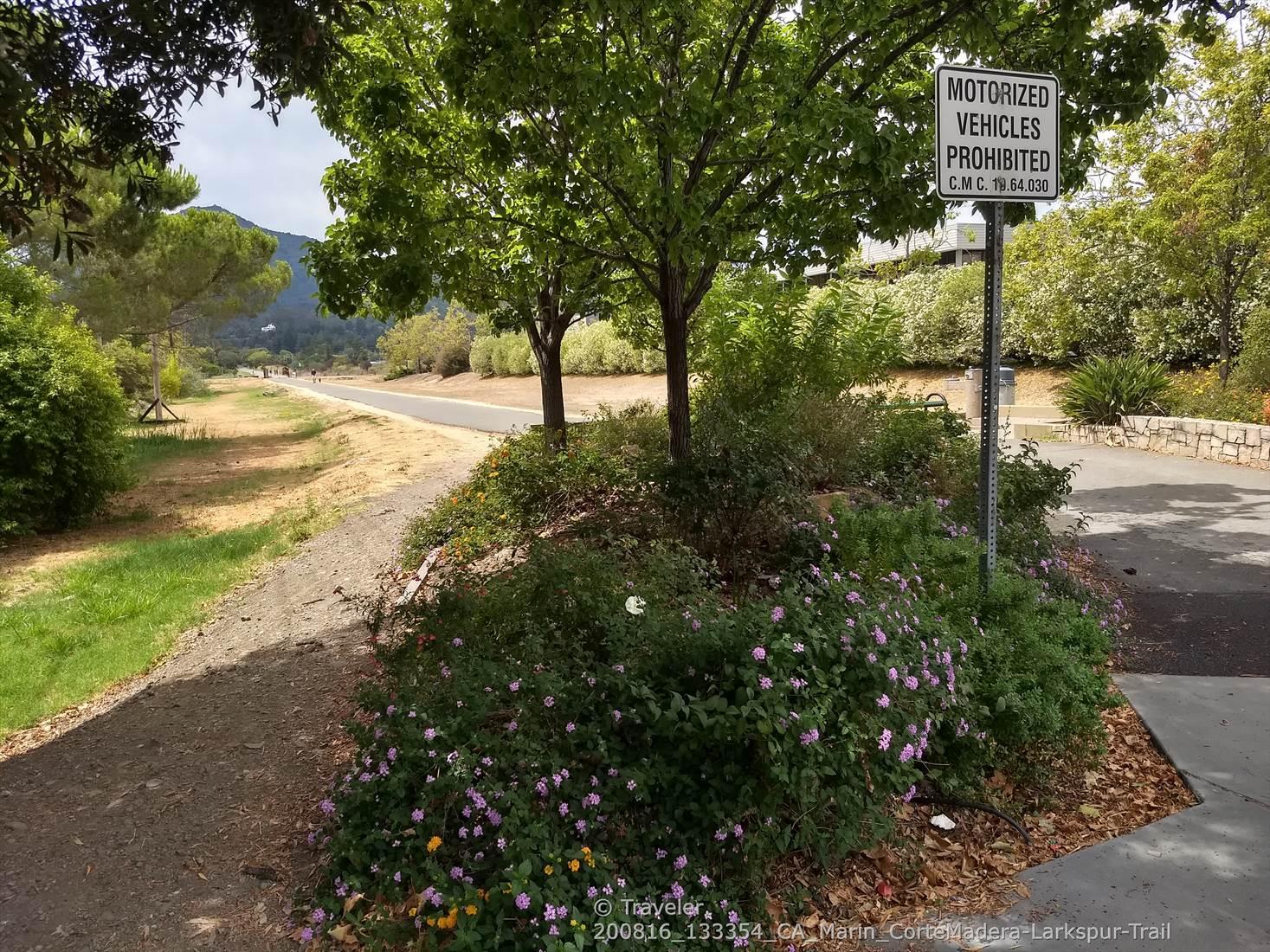 Shaded paved path with green trees, flowering bushes, and a prohibition sign.
