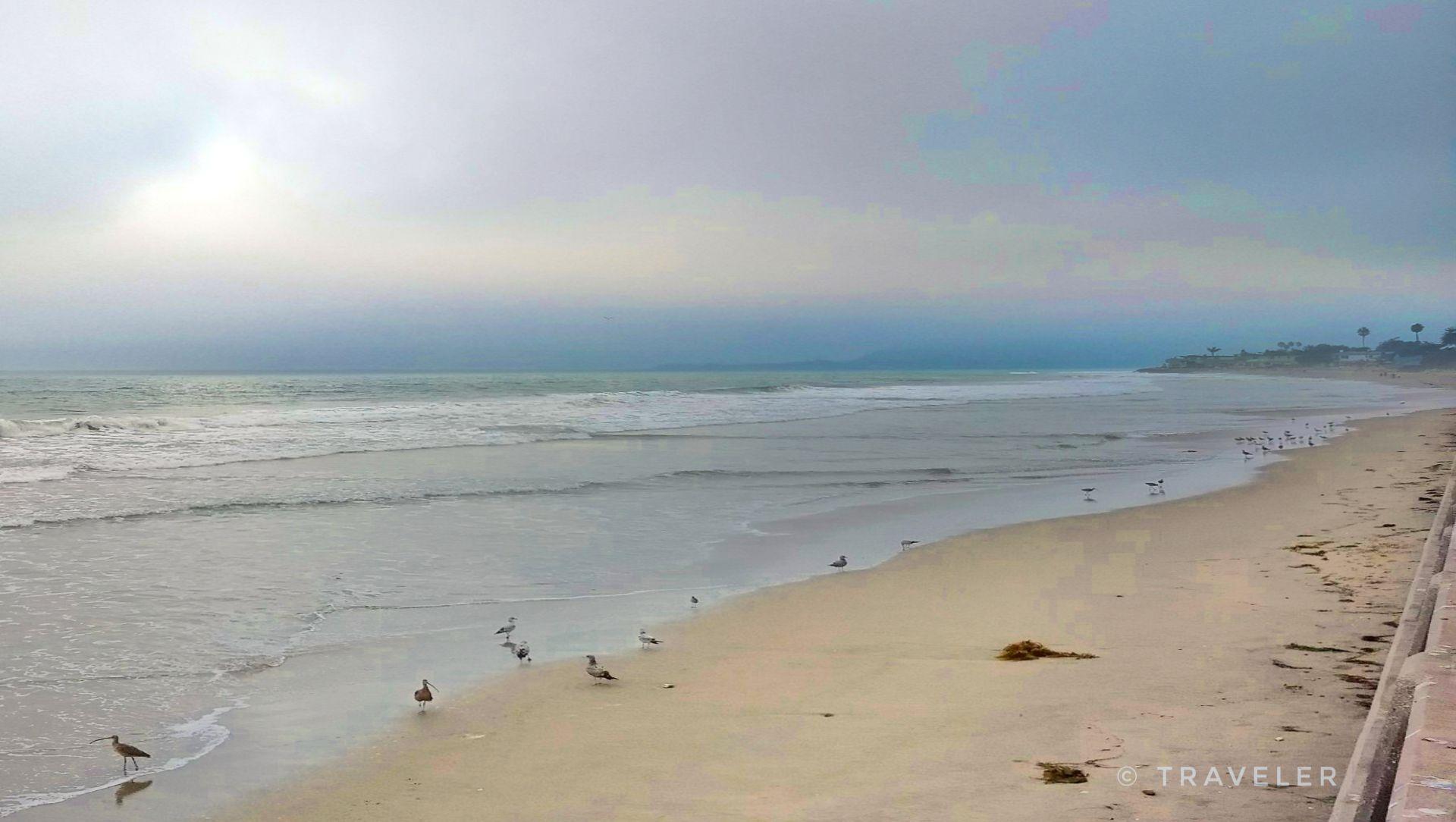 Sandy beach with ocean waves and seagulls near the water under a cloudy sky.