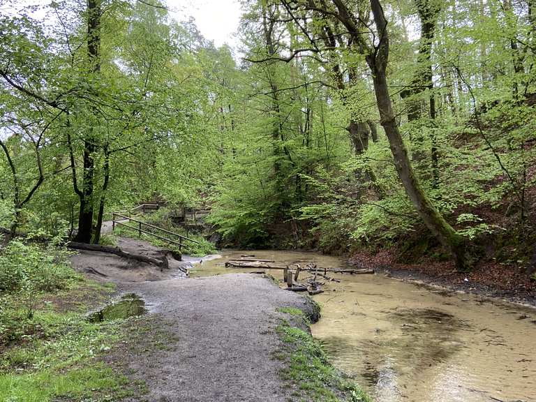 Die Emsquelle. Super idyllischer Weg.: Wanderungen und Rundwege | komoot