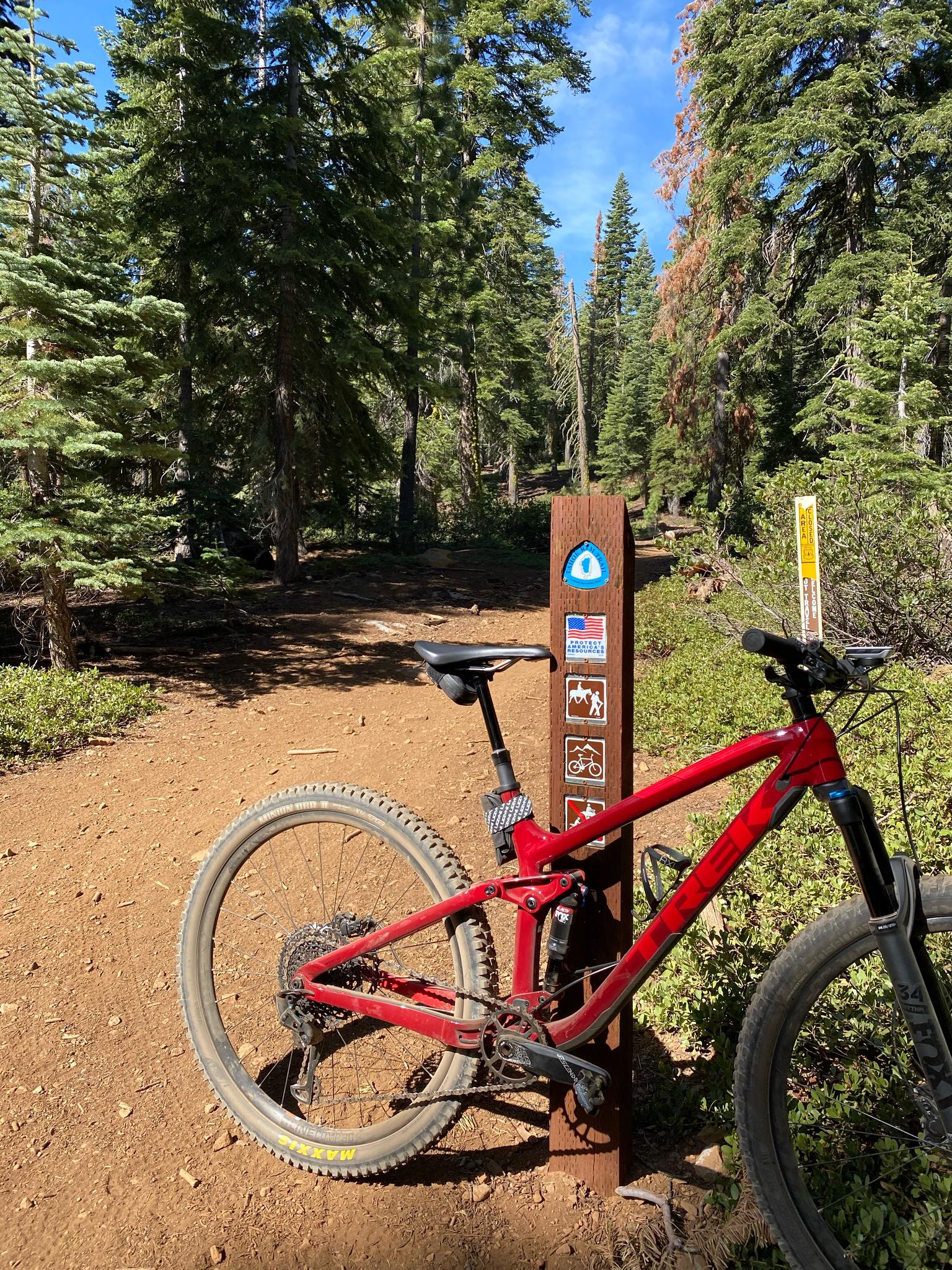 Red mountain bike parked next to a wooden trail marker in a sunny forest.