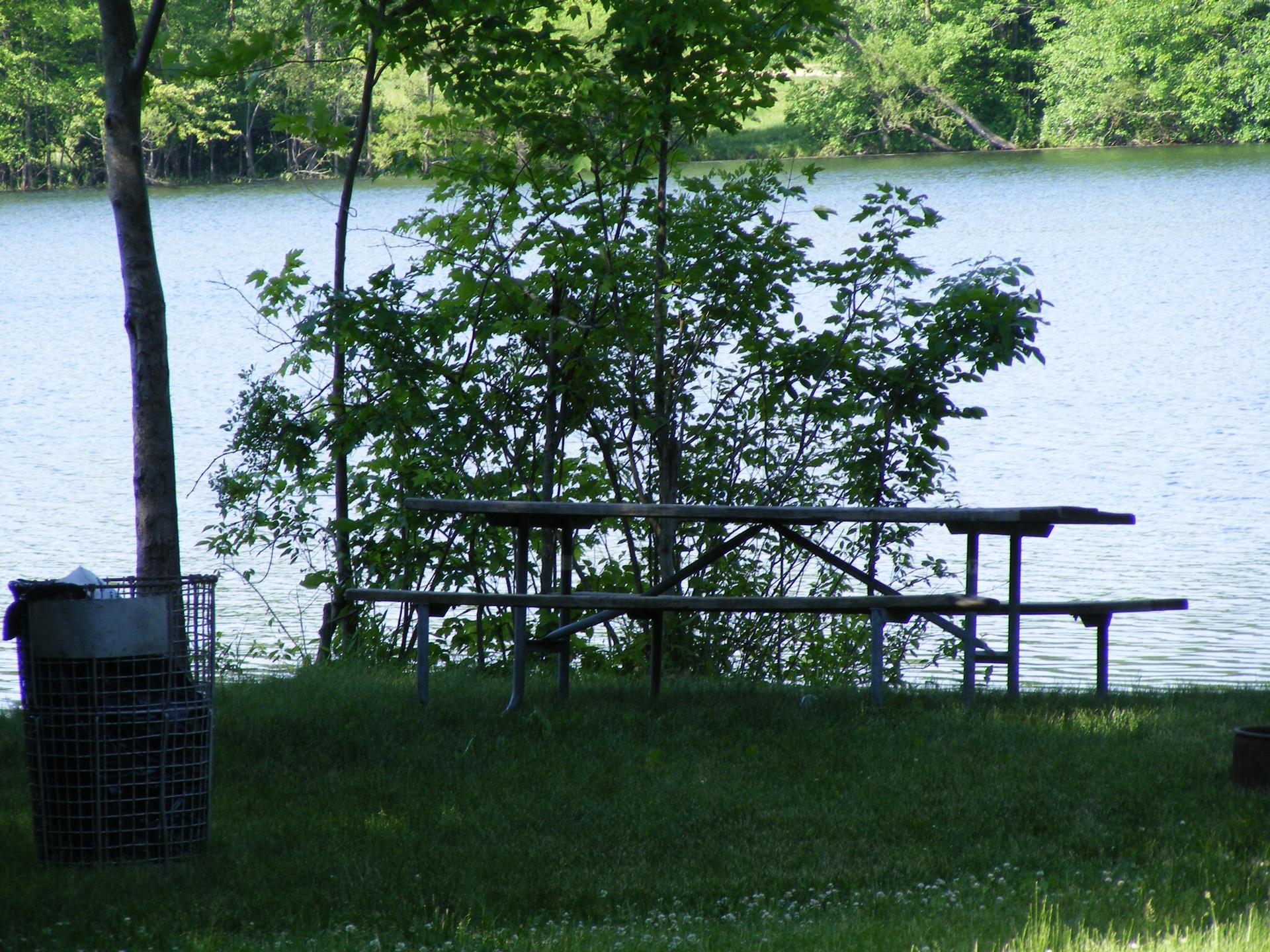 Picnic table and trash can on grass by a calm lake.