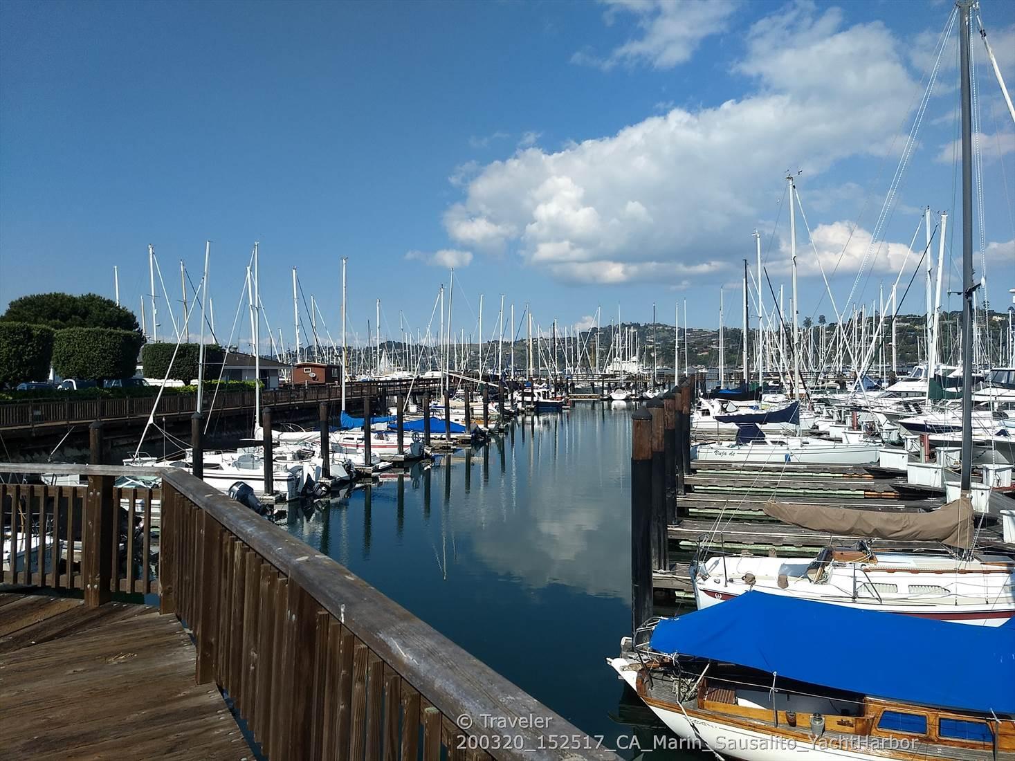 Many sailboats docked in a marina with calm water under a partly cloudy sky.